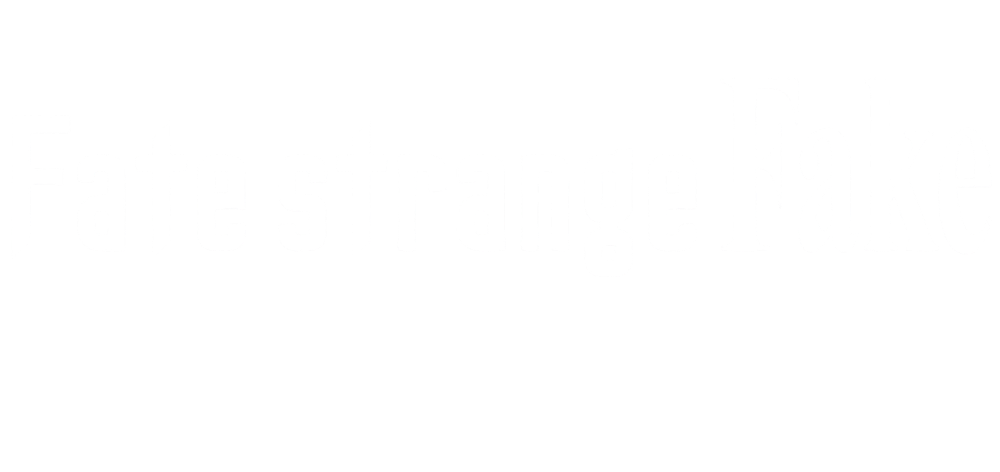 Fate/strange Fake Store